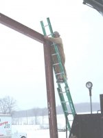 Rex erection.JPG