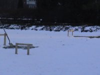 DSC01550.JPG