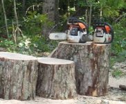 Stihl1.jpg Stihl1.jpg