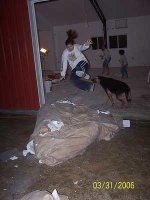 100_8306-web6x4.JPG