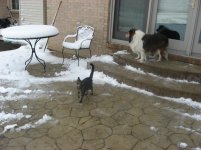 IMG_3012.jpg