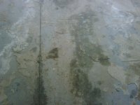 IMG00014-20100216-0949.jpg