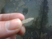IMG00015-20100216-0949.jpg