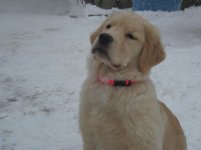 xmas and misc. pics 145.jpg