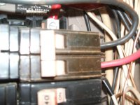 DSCF5609.jpg