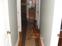 DSCF4531.jpg