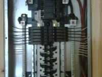 IMG00383-20110529-1614.jpg