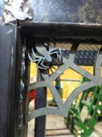 spider photo.jpg