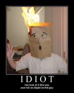 how-to-be-an-idiot.jpg