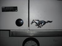 Shelves 017.jpg