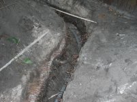 CIMG1049.jpg