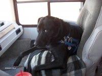 Maggie's place in the motor home.jpg