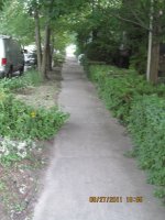 IMG_3535.JPG