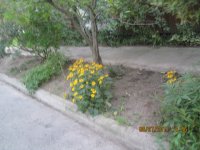 IMG_3545.JPG