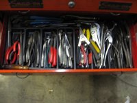 IMG_6397.jpg