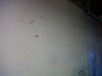IMG00173-20101011-1903.jpg