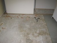 IMG_0701.jpg