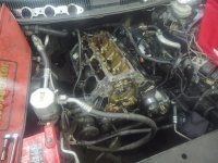 IMG_20210518_131854362.jpg
