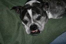 IMG_0061.jpg
