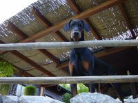 pancho_1mai 002.jpg