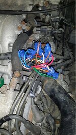 955fe1ded65abd2e961a0799ab3b3188.jpg 955fe1ded65abd2e961a0799ab3b3188.jpg