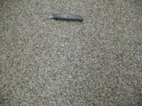 IMG_0751.JPG