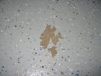Floor 1.jpg