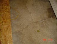DSC03737small.jpg