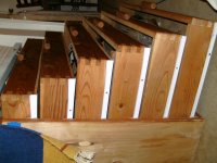 dog and drawers 013.jpg