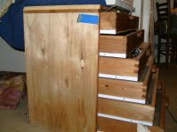 dog and drawers 014.jpg