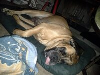 dda0f8687ae6c692d25c08b5ed1d14a5.jpg