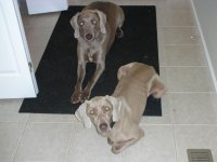 DSCN2618.jpg