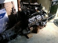 IMG00030-20100625-0904.jpg