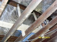 08-07-2010 050.jpg