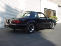 Mustang1.JPG