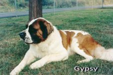 Gypsy Enhanced.jpg