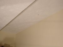 Picture 2931.jpg