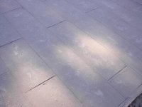 IM001271.jpg