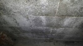 84b600226d5b107d793fdbedbd5c98d5.jpg