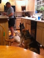 dinner.jpg