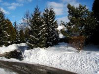 hse w00 (Large).jpg