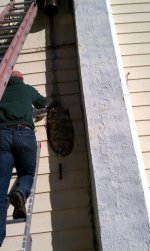 big hole in house.jpg