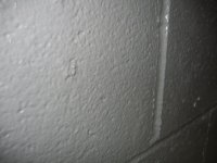 IMG_1209.jpg