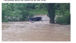 79d025158fd0b4dee50b4e414bd29b40.jpg