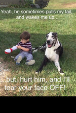 b399facd5766d334cfef1820b878cc19.jpg