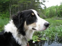 Millerd_Fishing_July2010 085.jpg