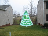 tree.jpg tree.jpg