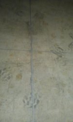 IMAG0493.jpg