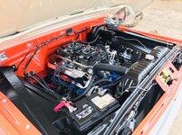 e6534788823e995268313055cae2de7b.jpg