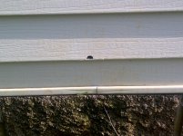 Bowling Green-20120426-00012.jpg